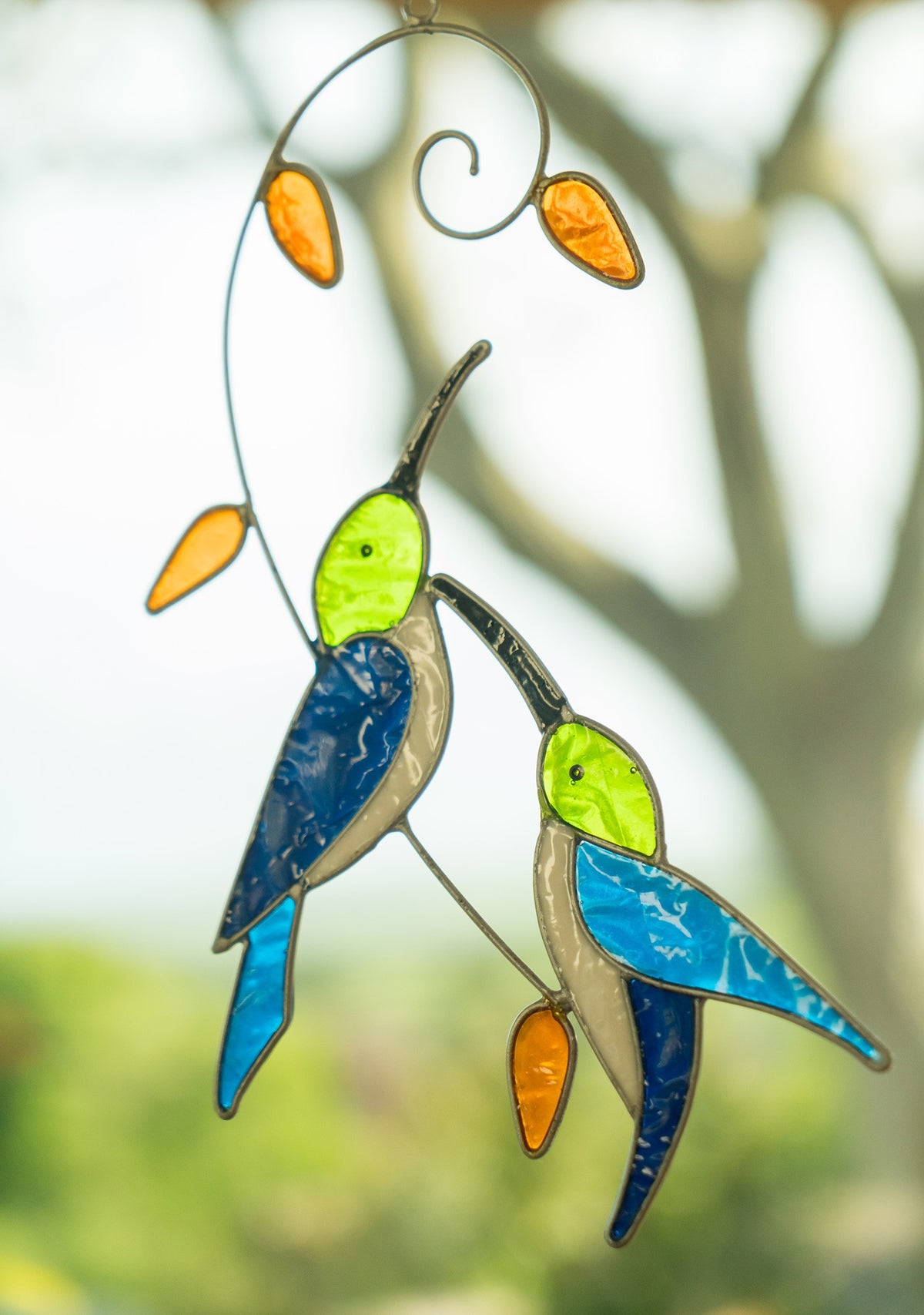 Kolibri solfanger