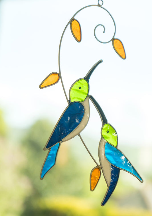 Kolibri solfanger
